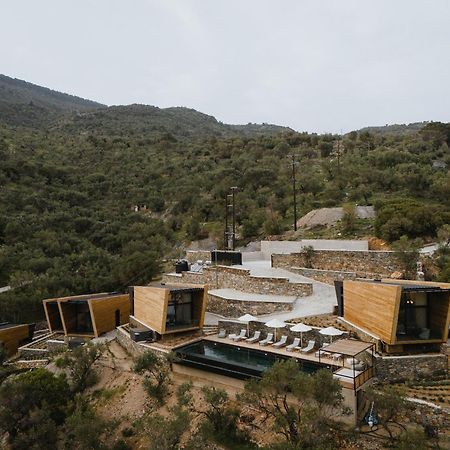 Five Olive Dream Trip Villa Plomari Dış mekan fotoğraf
