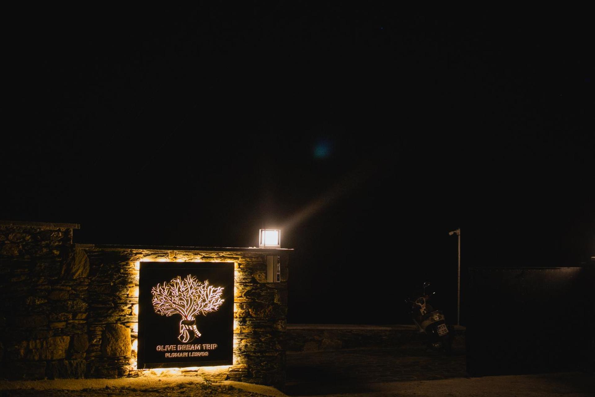 Five Olive Dream Trip Villa Plomari Dış mekan fotoğraf
